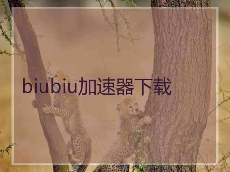 biubiu加速器下载