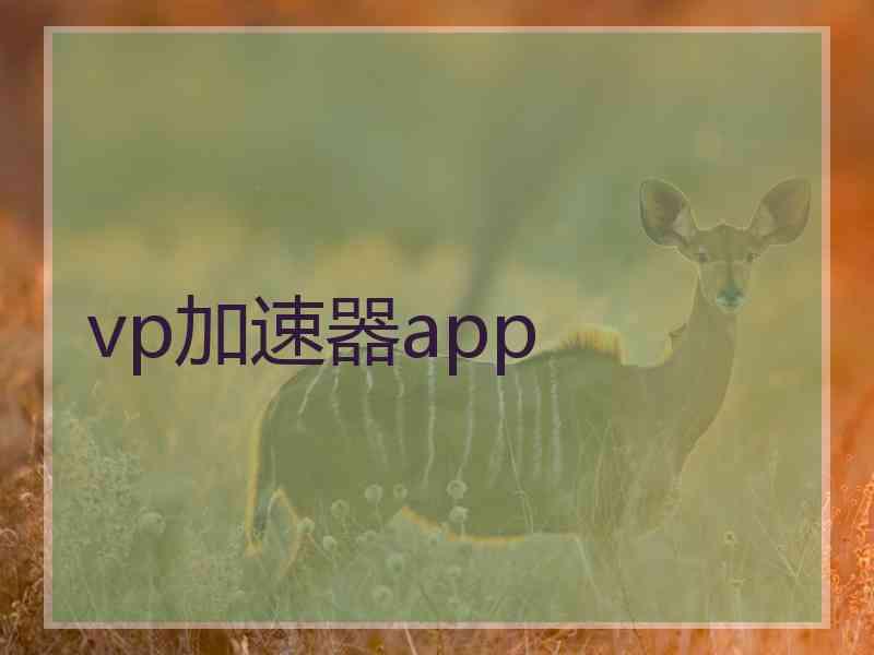 vp加速器app