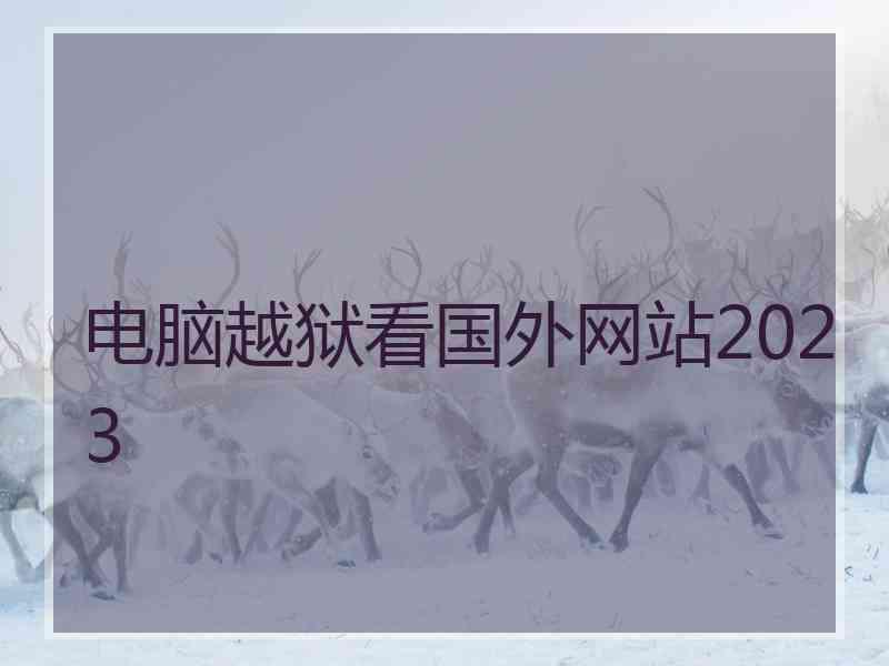 电脑越狱看国外网站2023