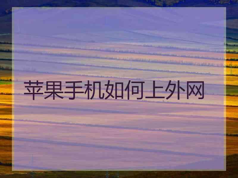 苹果手机如何上外网