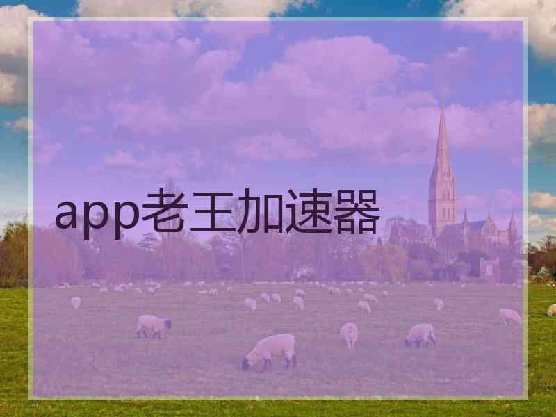 app老王加速器
