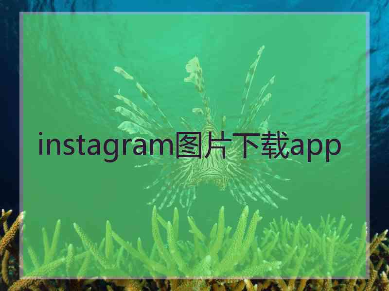 instagram图片下载app