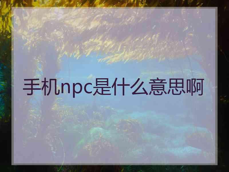 手机npc是什么意思啊
