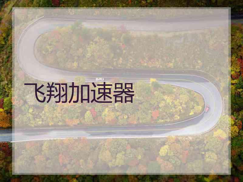 飞翔加速器