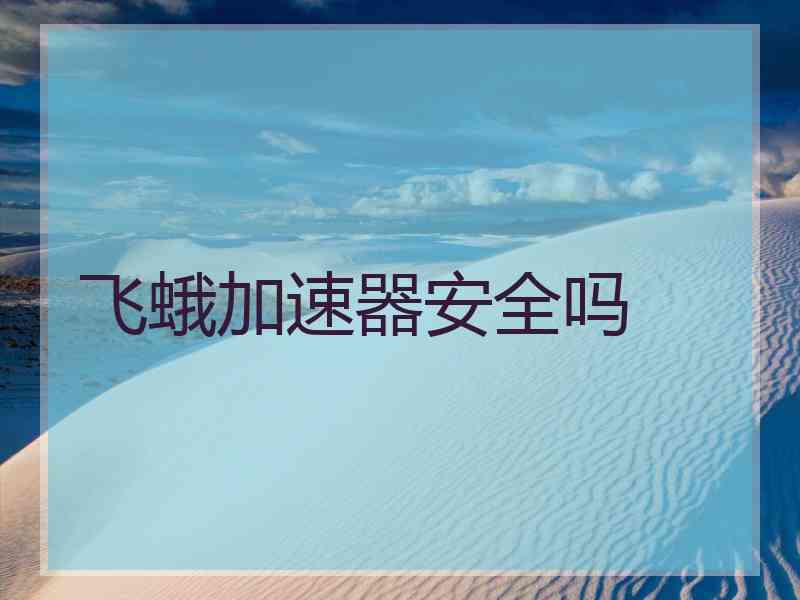 飞蛾加速器安全吗