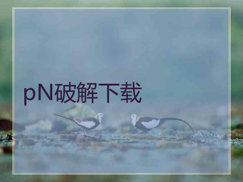 pN破解下载