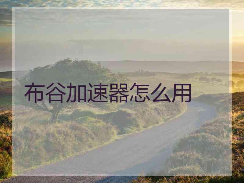 布谷加速器怎么用