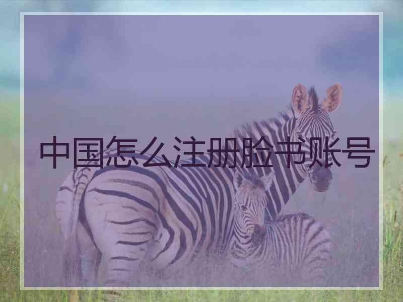 中国怎么注册脸书账号