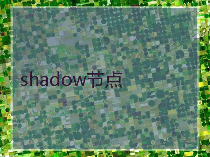 shadow节点