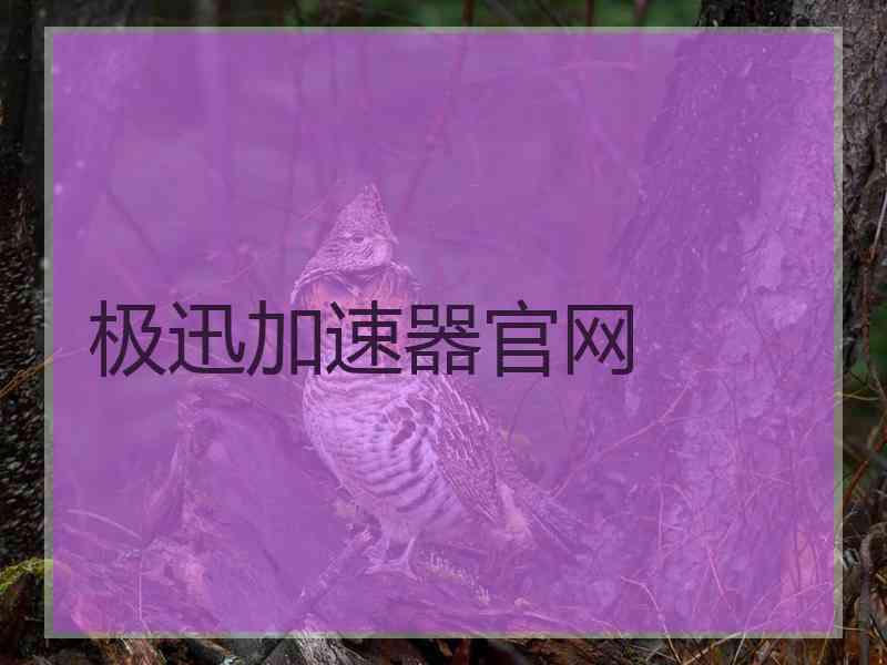 极迅加速器官网