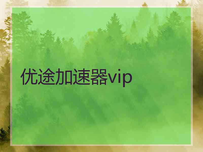 优途加速器vip