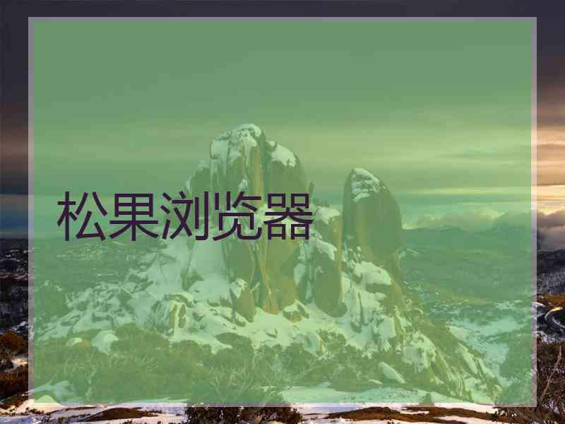 松果浏览器