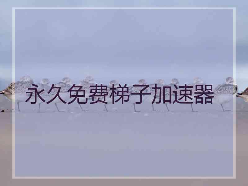 永久免费梯子加速器