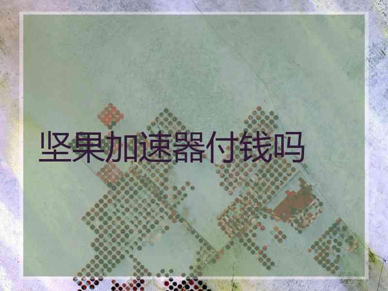 坚果加速器付钱吗