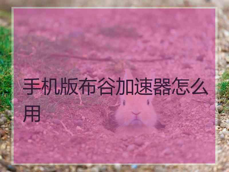 手机版布谷加速器怎么用