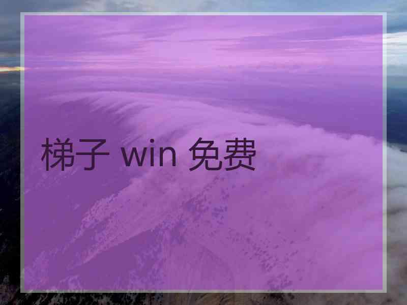 梯子 win 免费