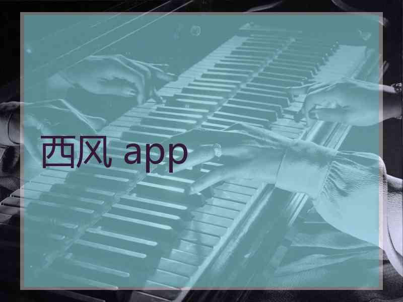西风 app