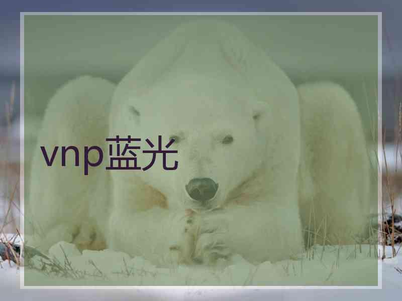 vnp蓝光