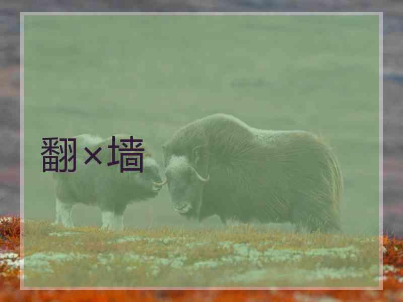 翻×墙