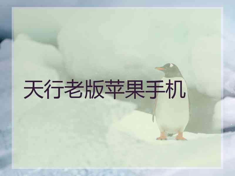 天行老版苹果手机
