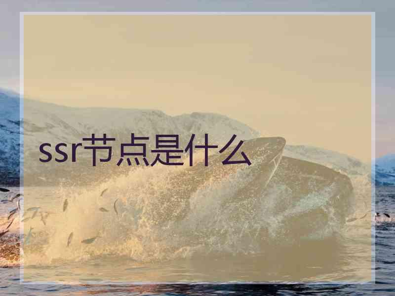 ssr节点是什么