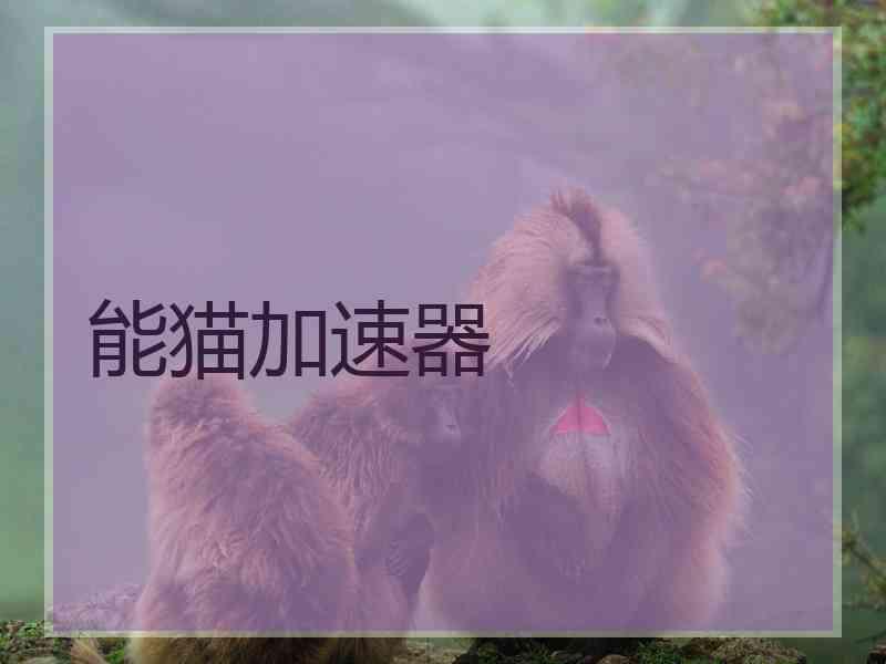 能猫加速器