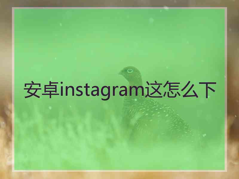 安卓instagram这怎么下