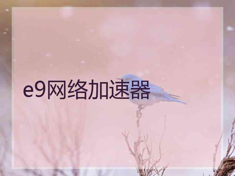 e9网络加速器