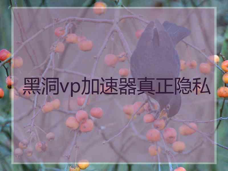 黑洞vp加速器真正隐私
