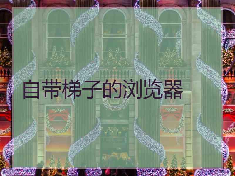 自带梯子的浏览器