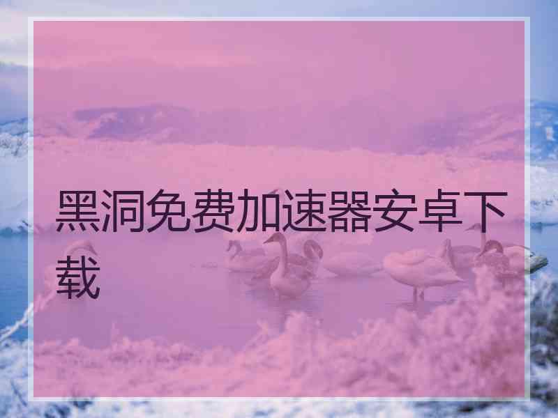 黑洞免费加速器安卓下载
