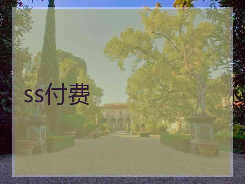 ss付费