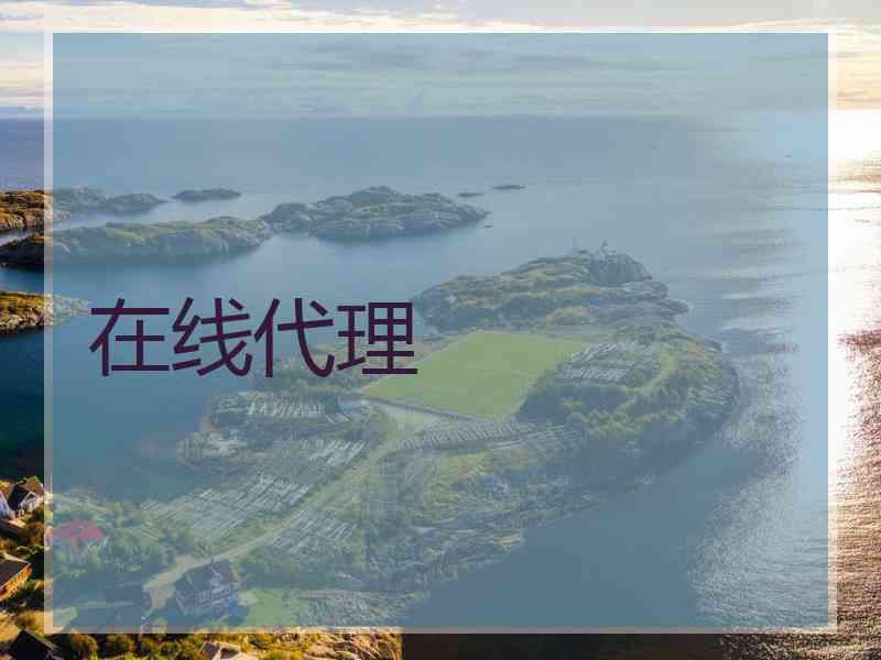 在线代理