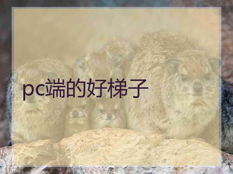 pc端的好梯子