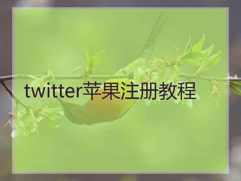 twitter苹果注册教程