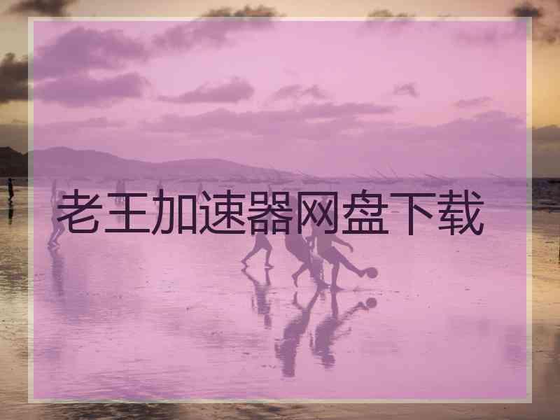 老王加速器网盘下载