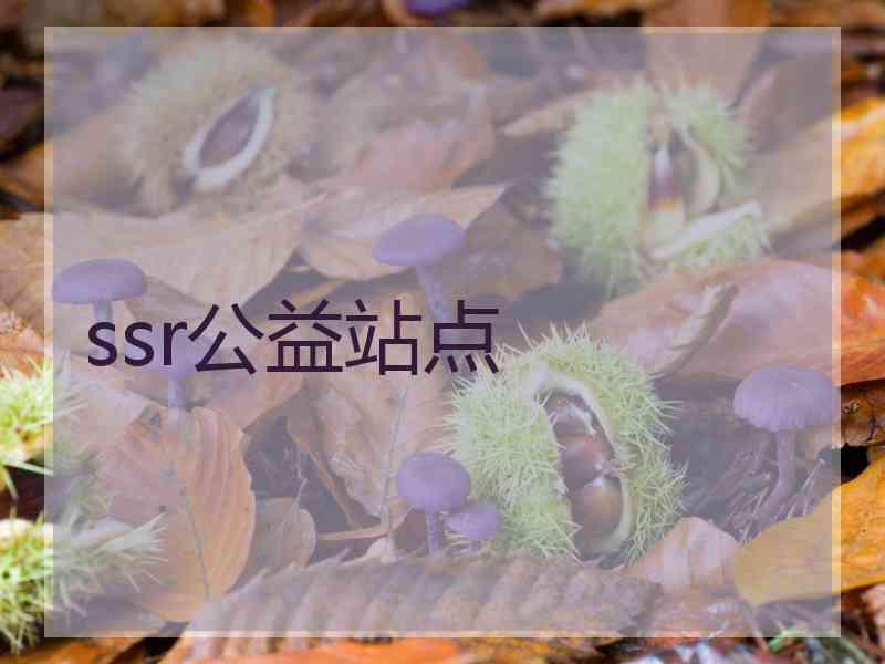 ssr公益站点