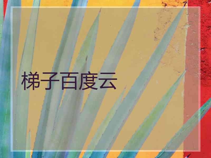 梯子百度云