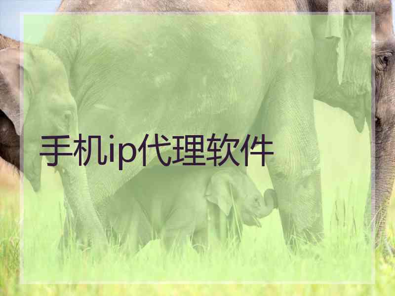 手机ip代理软件