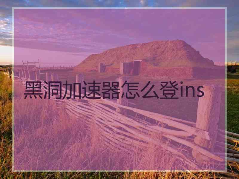 黑洞加速器怎么登ins