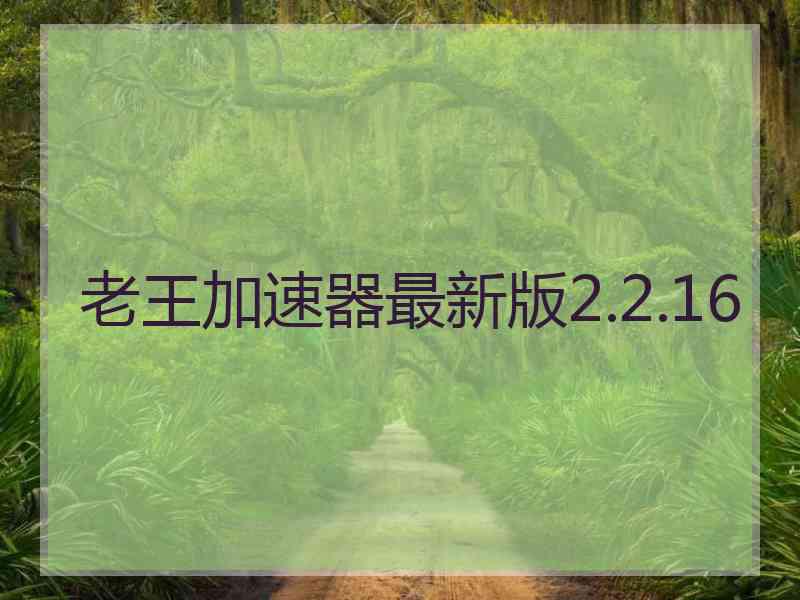 老王加速器最新版2.2.16