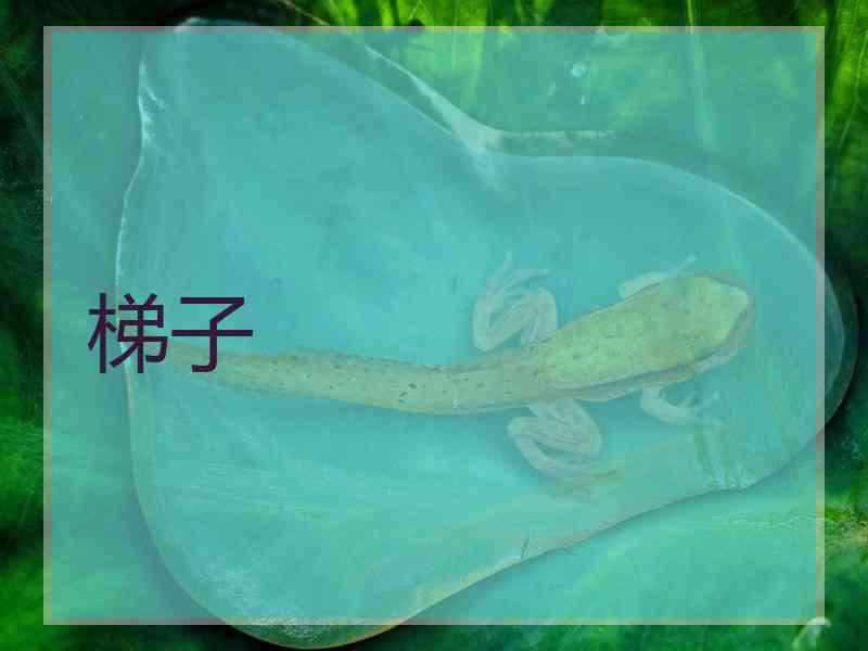 梯子