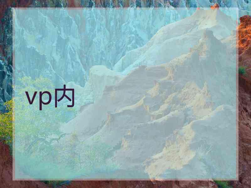 vp内