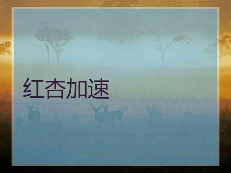 红杏加速