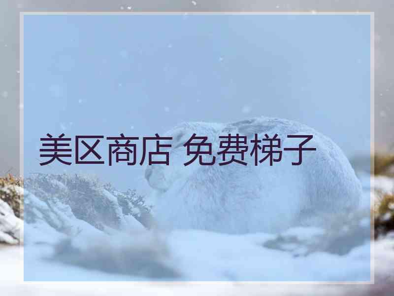 美区商店 免费梯子