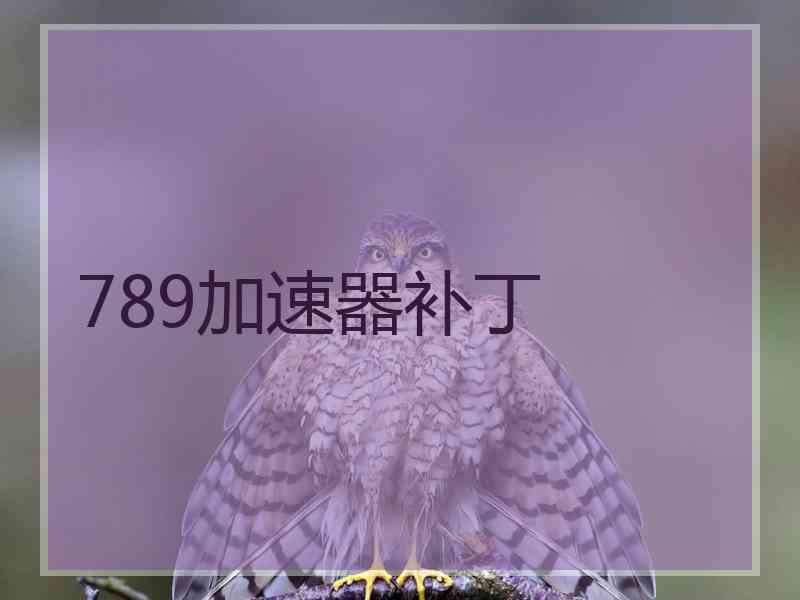 789加速器补丁