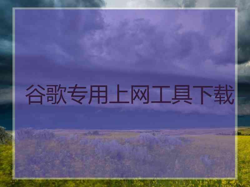 谷歌专用上网工具下载