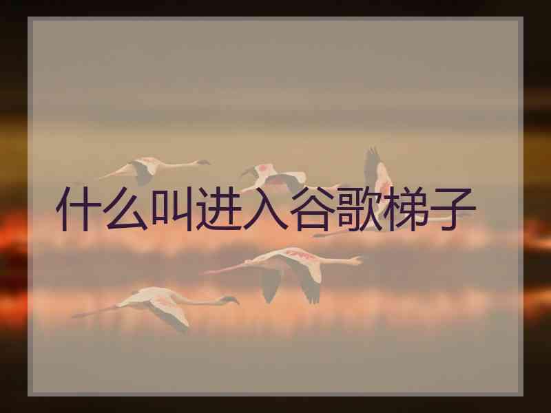 什么叫进入谷歌梯子