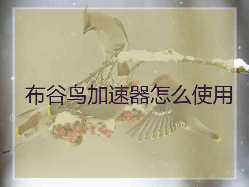 布谷鸟加速器怎么使用