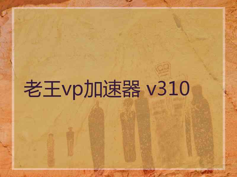 老王vp加速器 v310